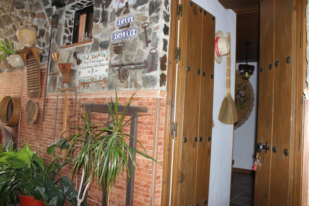 Apartament Casa Calero *